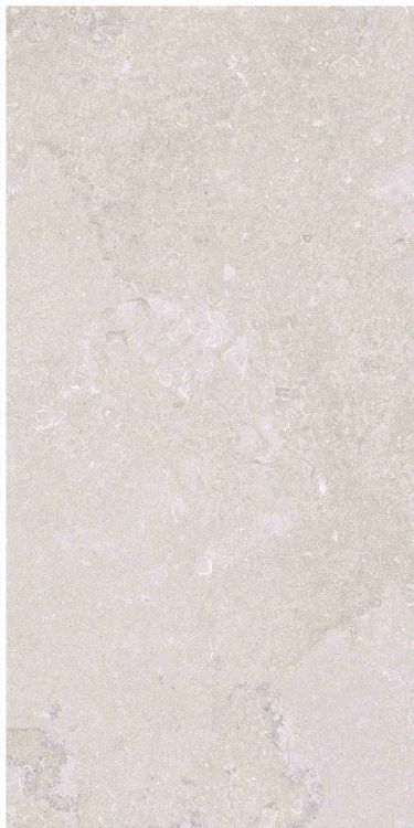 OL Port Land Stone Greige Matte 12 x 24
